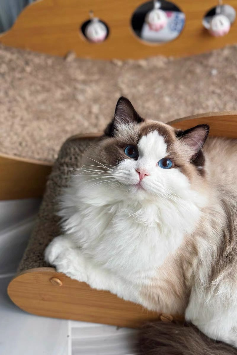 Start Your Custom Pet Portrait – Reserve Your Artist for $10